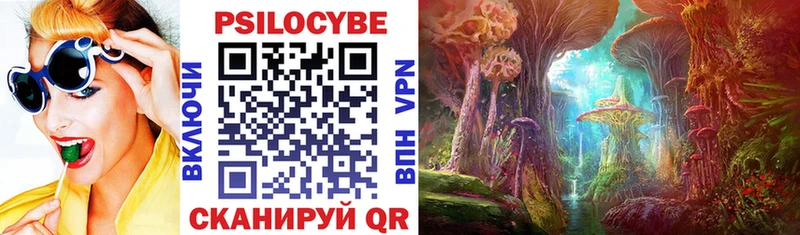 купить наркотики цена  Коряжма  Псилоцибиновые грибы прущие грибы 